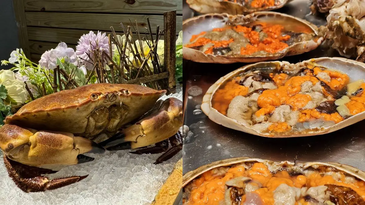 快對身分證「任2碼」!8大超狂鍋物優惠:麵包蟹買一送一、九孔鮑魚吃到飽 快對身分證「任2碼」!8大超狂鍋物優惠:麵包蟹買一送一、九孔鮑魚吃到飽