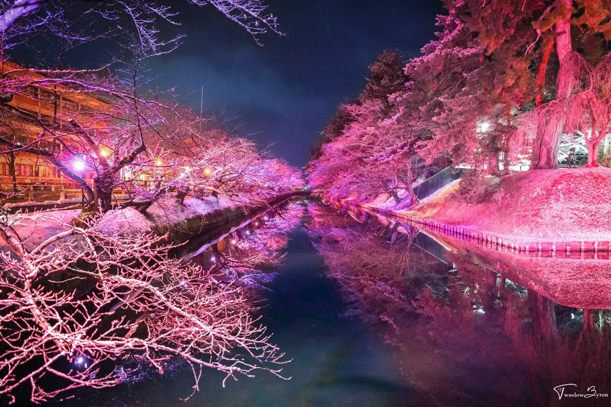 一生必看一次!夜訪百年古城「雪燈籠祭」,絕美映雪「冬之櫻」綿延兩岸 一生必看一次!夜訪百年古城「雪燈籠祭」,絕美映雪「冬之櫻」綿延兩岸