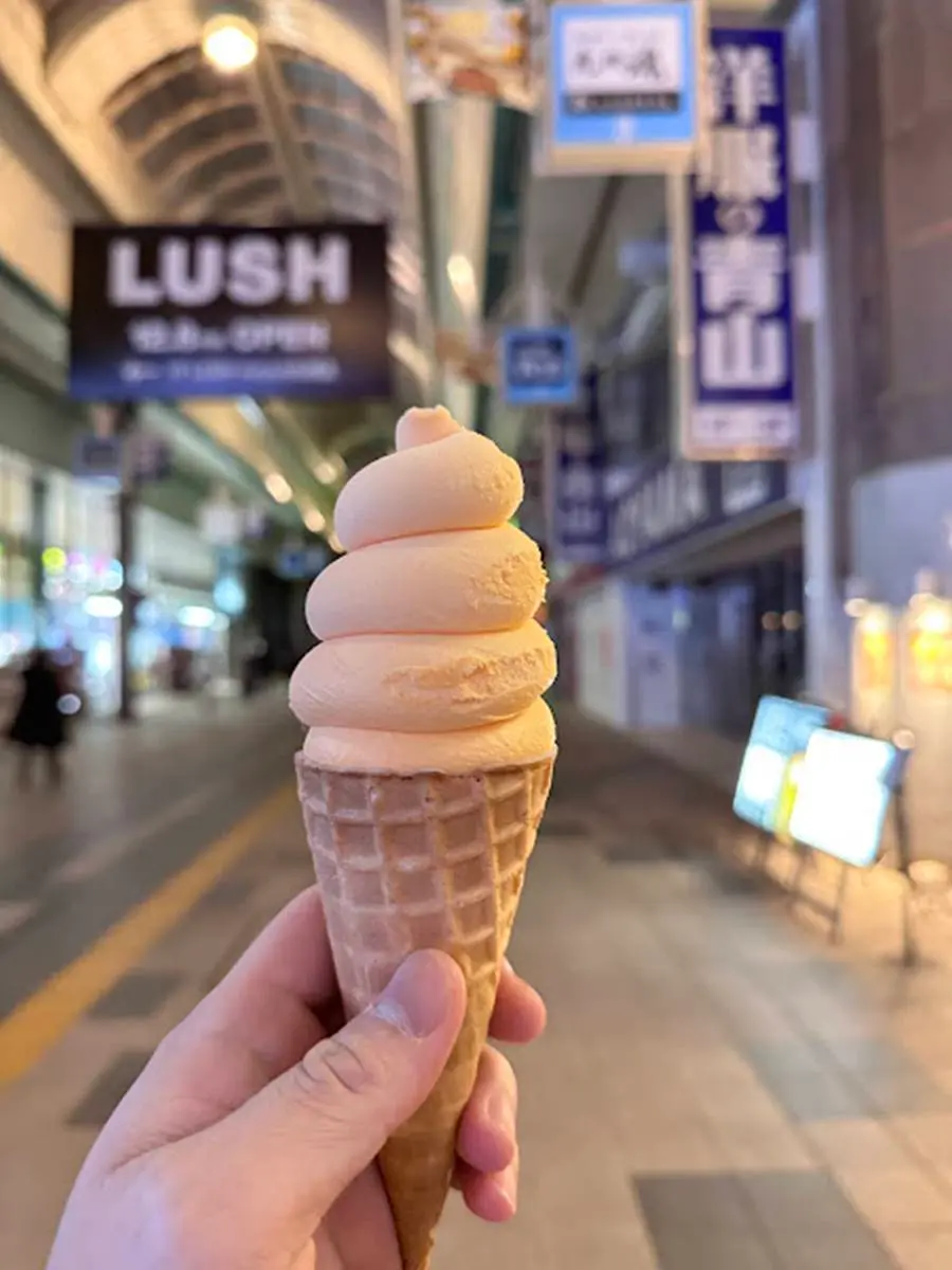連霸日本「顧客最滿意」超商！商品原料堅持在地自產，必吃炸豬排蓋飯、布丁