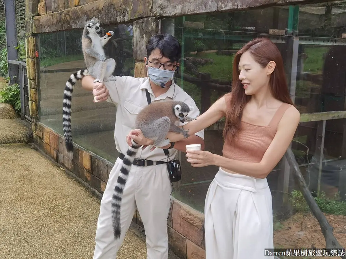 近距離餵長頸鹿、狐猴!親子必逛最強「開放式野生動物園」,還有動物表演秀 近距離餵長頸鹿、狐猴!親子必逛最強「開放式野生動物園」,還有動物表演秀