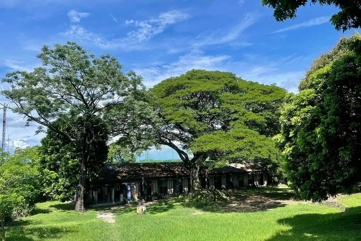 搭捷運走春去!高捷一日小旅行6景點:走逛百年老糖廠、品嘗限定酵母冰 搭捷運走春去!高捷一日小旅行6景點:走逛百年老糖廠、品嘗限定酵母冰