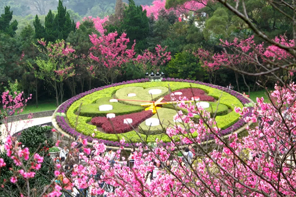 一年四季都有花！「2026陽明山花季」開花情報、賞花地圖，陽明山一日遊推薦