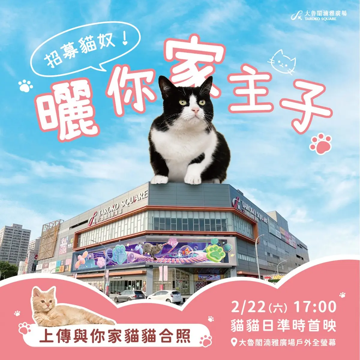 巨萌「虎斑貓」要來了!全台最大裸視3D螢幕「這天」登場,50公尺巨幕超震撼 巨萌「虎斑貓」要來了!全台最大裸視3D螢幕「這天」登場,50公尺巨幕超震撼