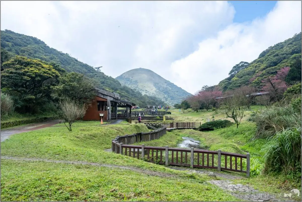 2026竹子湖海芋季賞花攻略！走海芋步道、吃陽明山土雞，導覽與管制時段一次看