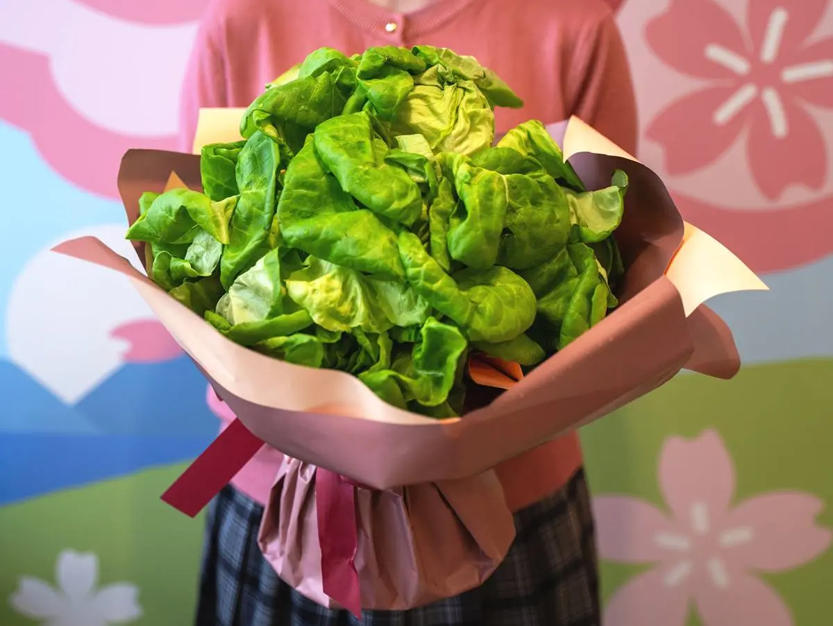 摩斯紅茶只要24元!5大隱藏優惠手刀搶:免費送烤雞起司堡、雞塊買3送1 摩斯紅茶只要24元!5大隱藏優惠手刀搶:免費送烤雞起司堡、雞塊買3送1