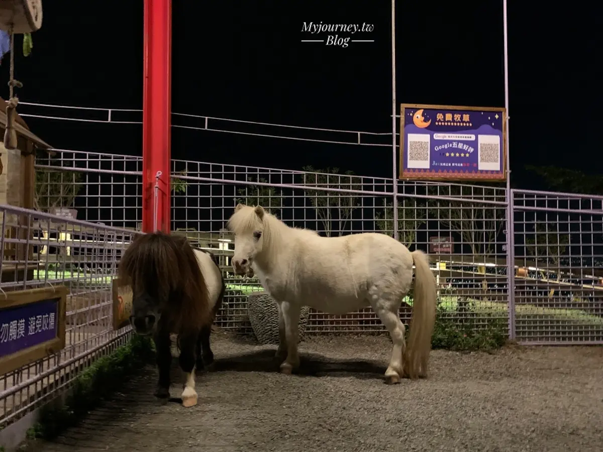 白天看動物、晚上看無敵夜景!網友激推中部親子景點,互動超萌水豚、笑笑羊 白天看動物、晚上看無敵夜景!網友激推中部親子景點,互動超萌水豚、笑笑羊