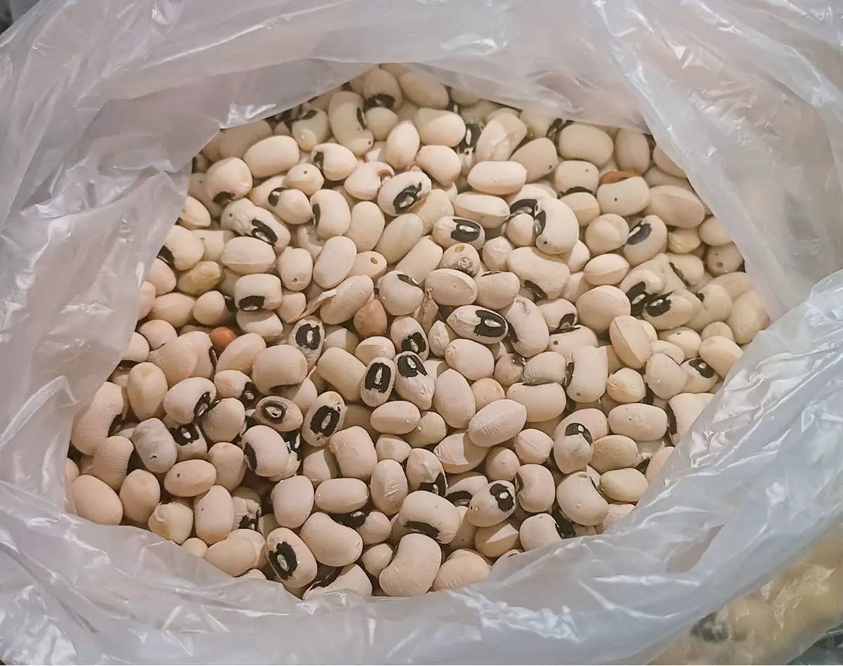 「窮人家麵條」變特色小吃! 鹽水80年「豆簽羹」,蚵仔+虱目魚湯底征服老饕 「窮人家麵條」變特色小吃! 鹽水80年「豆簽羹」,蚵仔+虱目魚湯底征服老饕