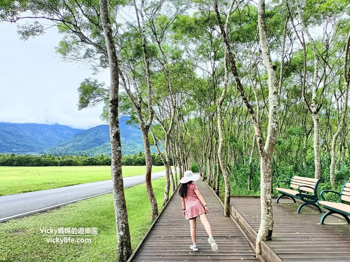 大農大富平地森林園區|森林步道賞四季美景,花蓮親子景點推薦 大農大富平地森林園區|森林步道賞四季美景,花蓮親子景點推薦
