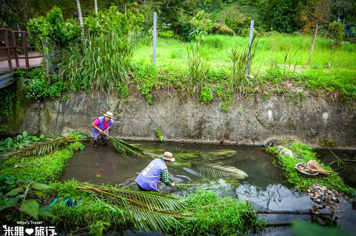 大農大富平地森林園區|森林步道賞四季美景,花蓮親子景點推薦 大農大富平地森林園區|森林步道賞四季美景,花蓮親子景點推薦