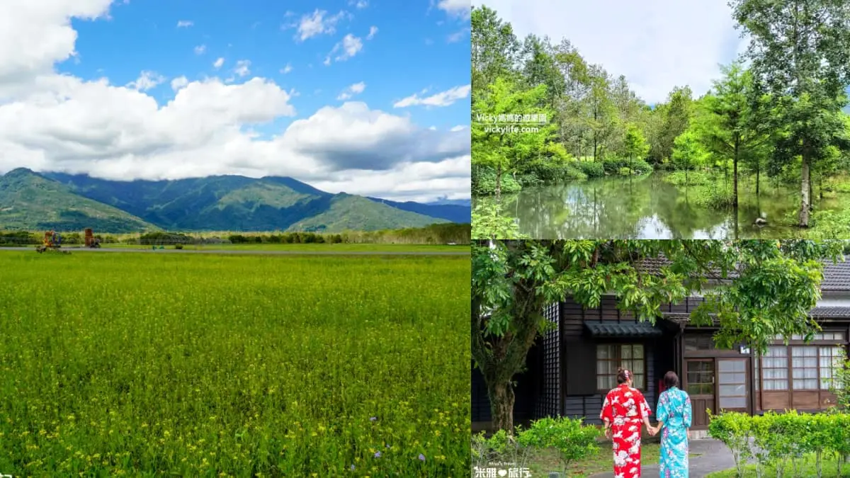 大農大富平地森林園區｜森林步道賞四季美景，花蓮親子景點推薦