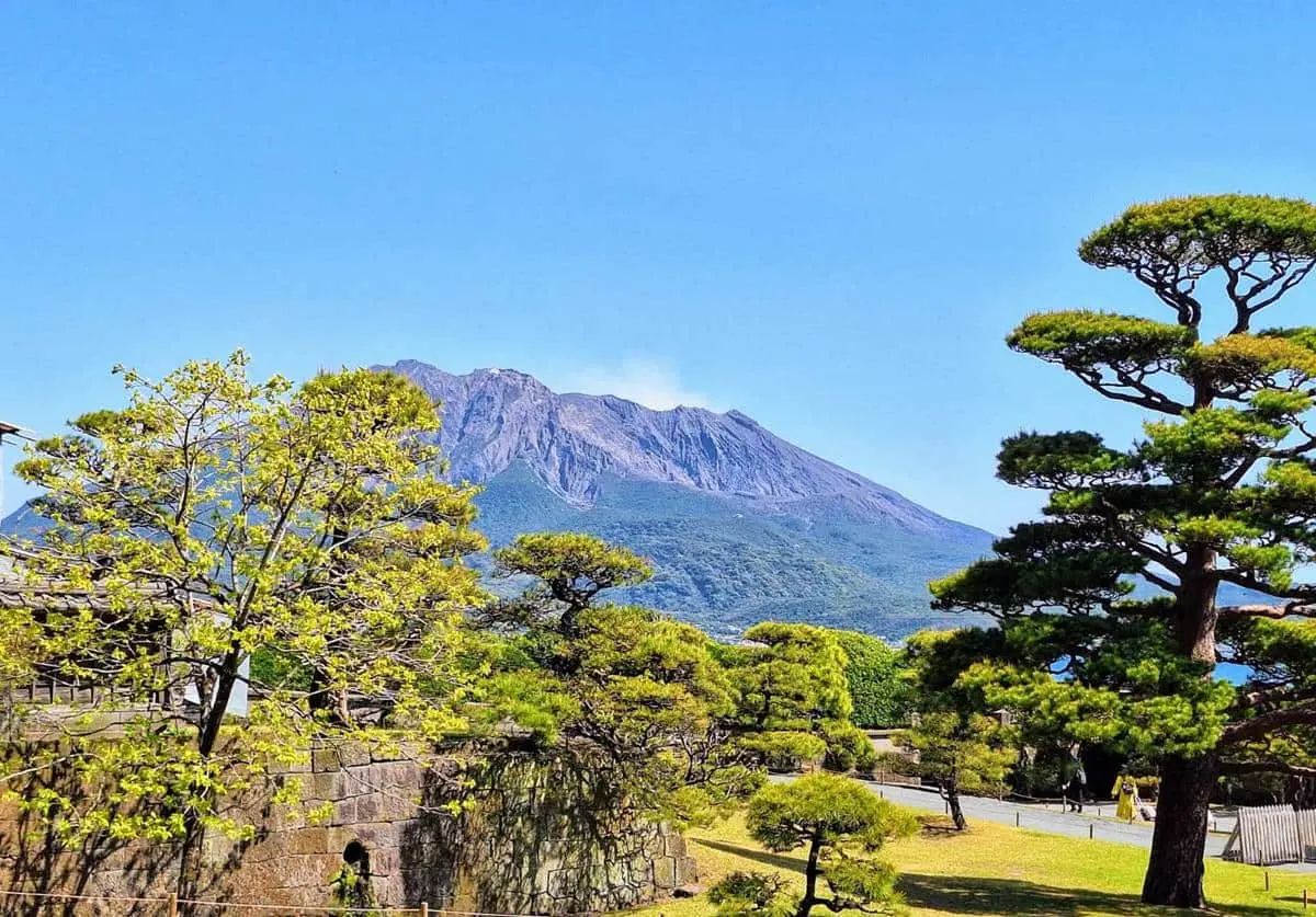 2025鹿兒島攻略!必吃必玩10選:80年名物最萌白熊冰、百年建築最美星巴克 2025鹿兒島攻略!必吃必玩10選:80年名物最萌白熊冰、百年建築最美星巴克