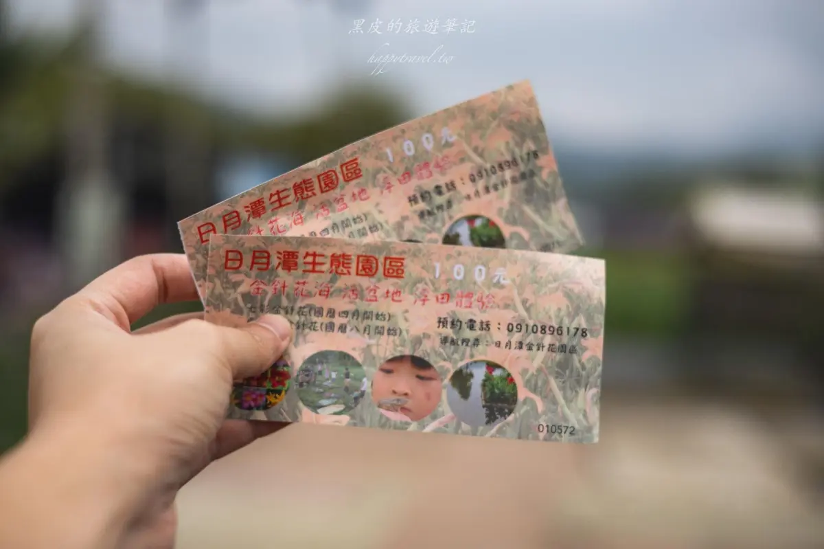 網譽「天使的花毯」!100元拍爆萬坪「七彩金針花海」,還有絕美水上綠色隧道 網譽「天使的花毯」!100元拍爆萬坪「七彩金針花海」,還有絕美水上綠色隧道