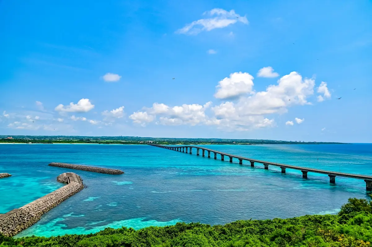 台北直飛「東亞馬爾地夫」！星宇航空8/22開航宮古島，宮古牛、宮古麵必嘗
