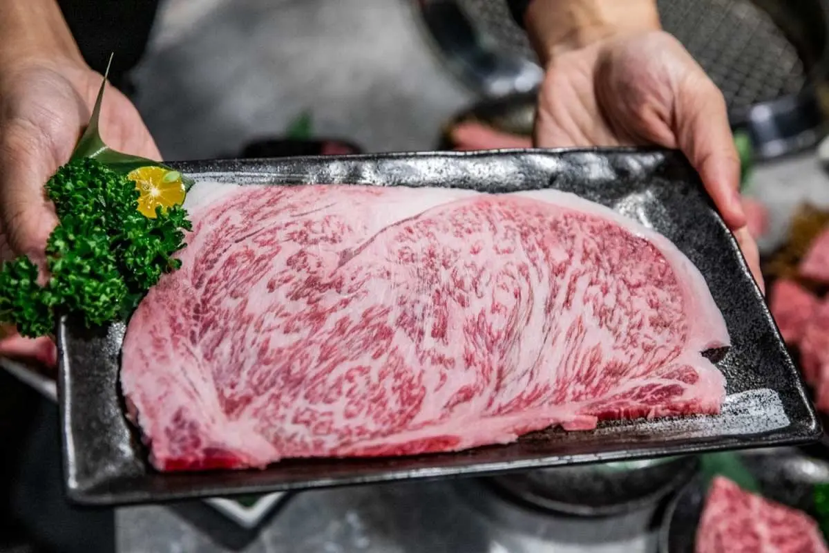 加99元和牛吃到飽！地表最強「燒肉吃到飽」手搖搬進店，手臂蝦、生蠔無限吃