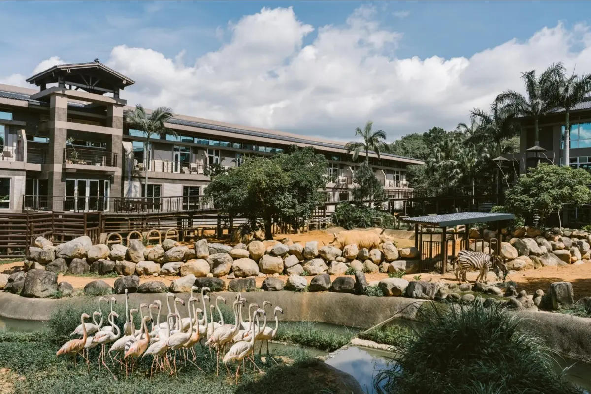 超殺夏季旅展開跑！六福村門票48折、飯店吃到飽免千元，動物園飯店免費升等