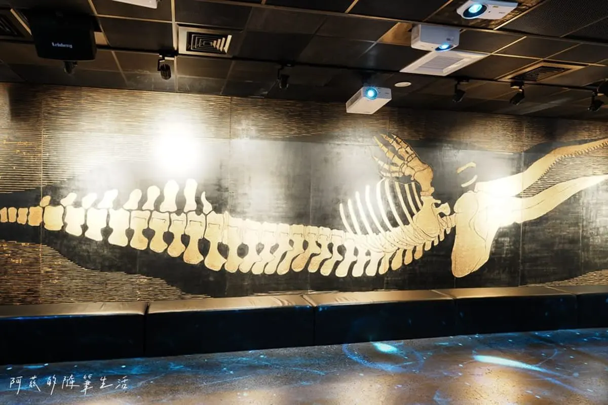 1秒穿越「侏儸紀公園」!台灣唯一「化石主題博物館」,5大展區亮點一次看 1秒穿越「侏儸紀公園」!台灣唯一「化石主題博物館」,5大展區亮點一次看