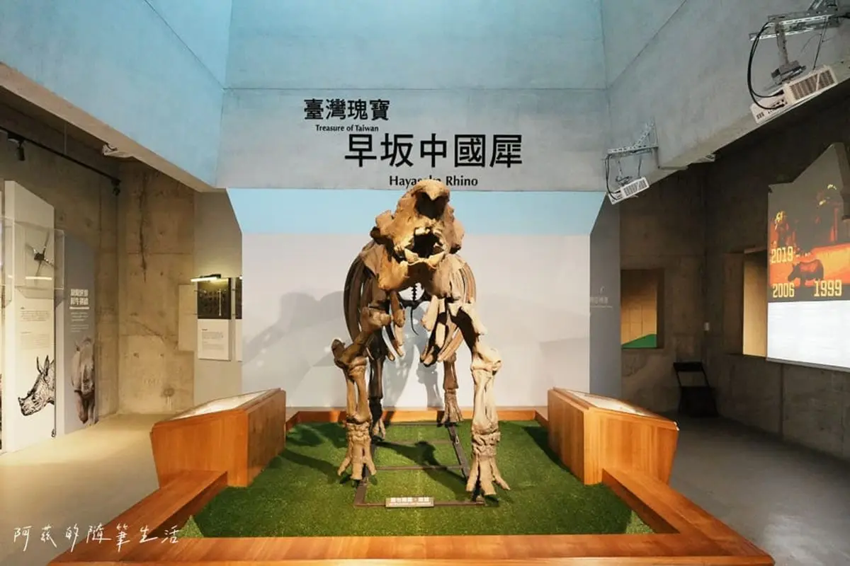 1秒穿越「侏儸紀公園」!台灣唯一「化石主題博物館」,5大展區亮點一次看 1秒穿越「侏儸紀公園」!台灣唯一「化石主題博物館」,5大展區亮點一次看