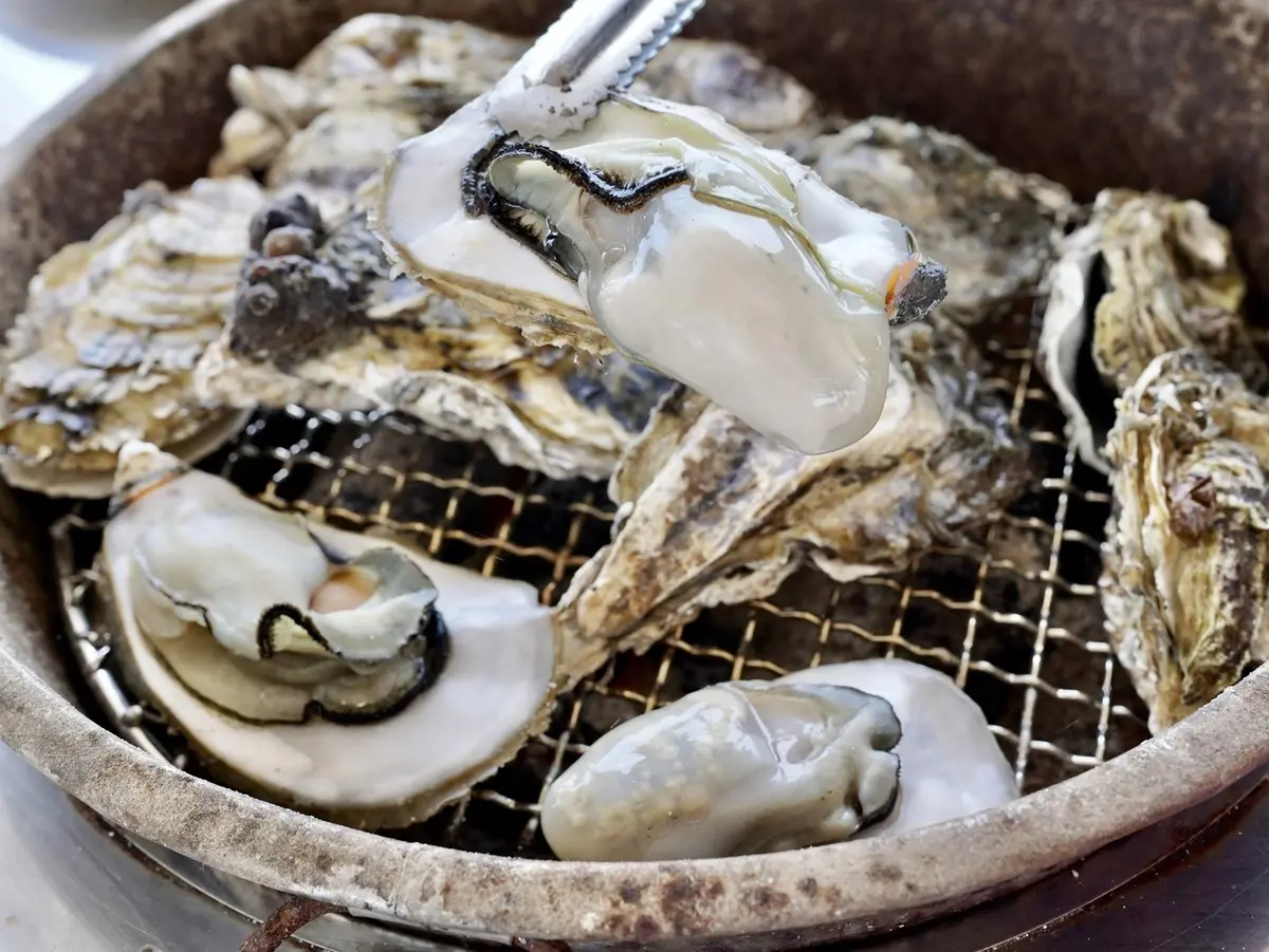 端午煙火秀在嘉義!看精彩龍舟賽、逛美食市集,免費吃蚵仔粥、玩氣墊城堡 端午煙火秀在嘉義!看精彩龍舟賽、逛美食市集,免費吃蚵仔粥、玩氣墊城堡