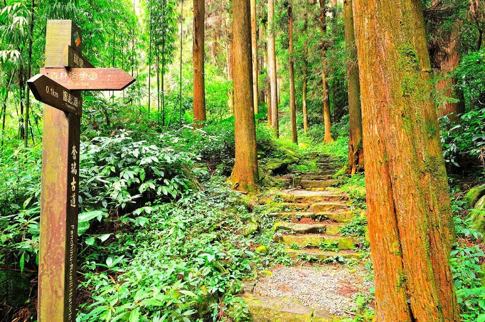 奮起湖老街一日遊：５大必吃奮起湖美食、附近景點推薦全攻略