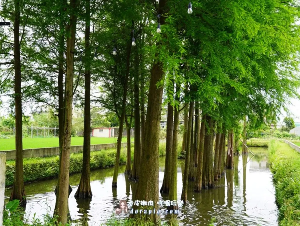 2025宜蘭包棟民宿10選！海景第一排、落雨松美景、３萬顆彩虹球池