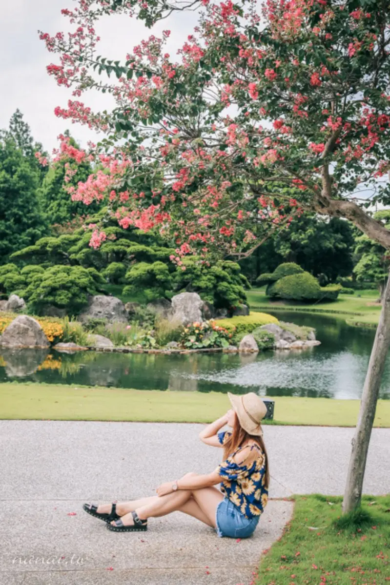 中部最美「百日紅花園」在這！夢幻粉紅祕境超好拍，門票買一送一、兒童免費