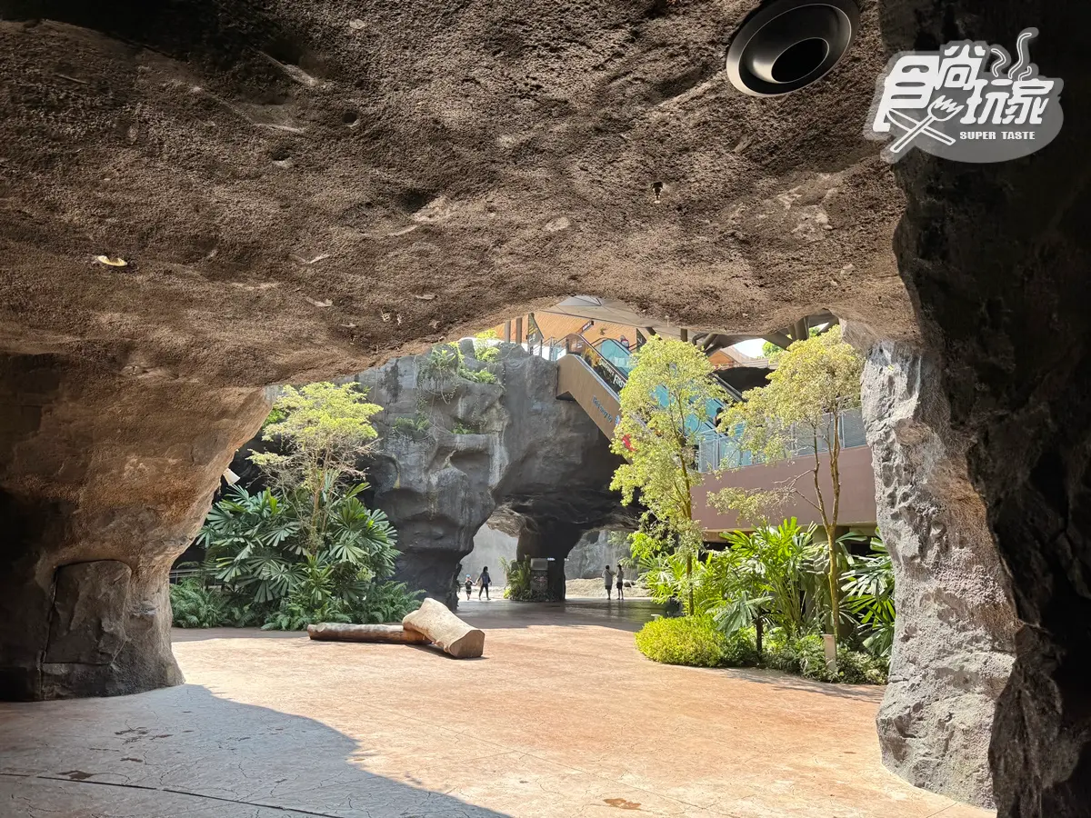 亞洲首座「雨林野生探險園」開幕!5大亮點攻略搶看:36種珍稀動物、洞穴探險 亞洲首座「雨林野生探險園」開幕!5大亮點攻略搶看:36種珍稀動物、洞穴探險