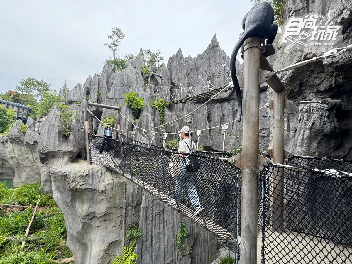 亞洲首座「雨林野生探險園」開幕!5大亮點攻略搶看:36種珍稀動物、洞穴探險 亞洲首座「雨林野生探險園」開幕!5大亮點攻略搶看:36種珍稀動物、洞穴探險