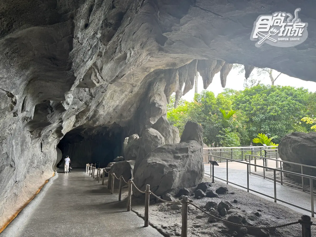 亞洲首座「雨林野生探險園」開幕!5大亮點攻略搶看:36種珍稀動物、洞穴探險 亞洲首座「雨林野生探險園」開幕!5大亮點攻略搶看:36種珍稀動物、洞穴探險