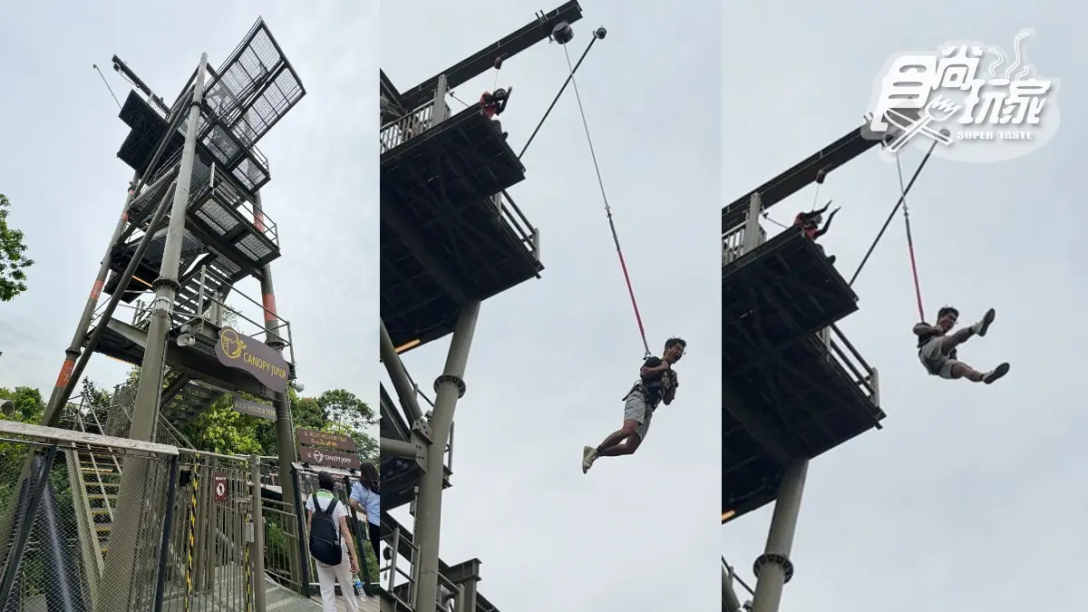 亞洲首座「雨林野生探險園」開幕!5大亮點攻略搶看:36種珍稀動物、洞穴探險 亞洲首座「雨林野生探險園」開幕!5大亮點攻略搶看:36種珍稀動物、洞穴探險