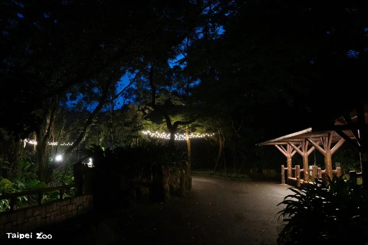 木柵動物園暑假限定「星光票」登場！參觀時間延長到９點，可和動物一起野餐