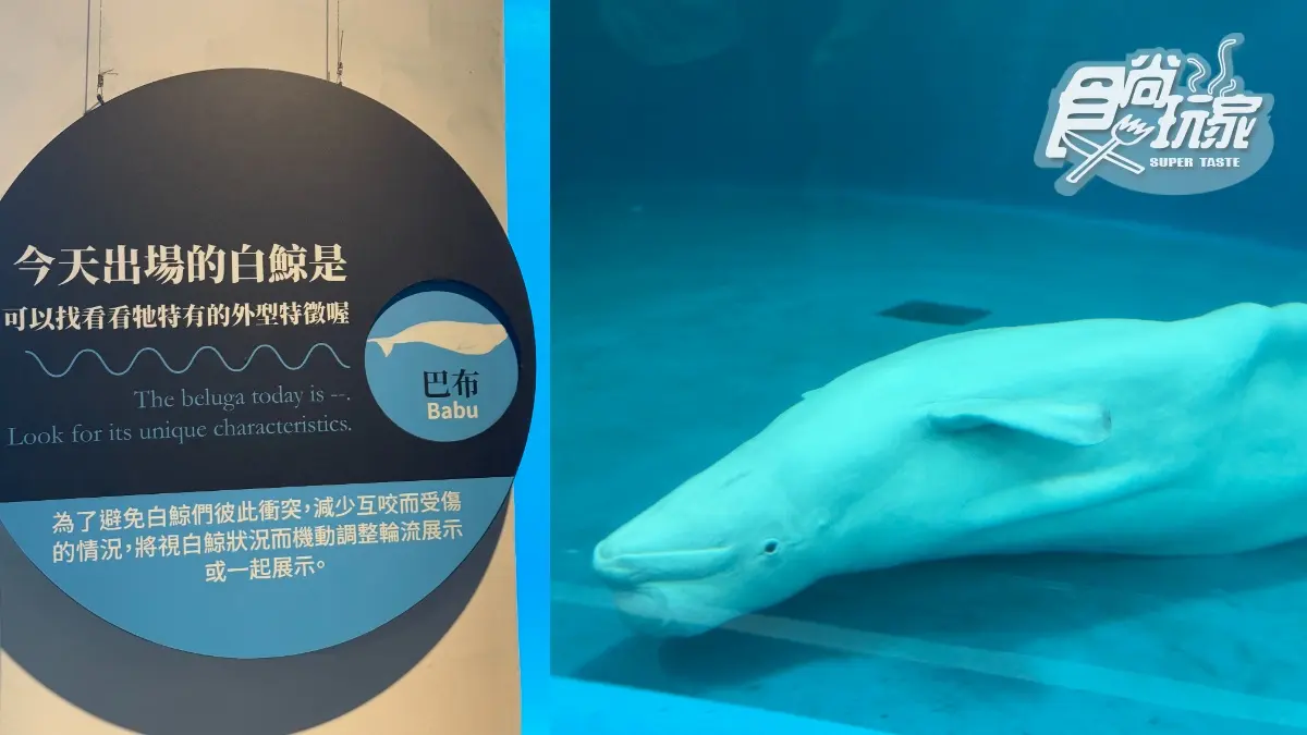 2026「屏東海生館」玩法攻略!地圖/餐廳/夜宿/附近美食景點 2026「屏東海生館」玩法攻略!地圖/餐廳/夜宿/附近美食景點