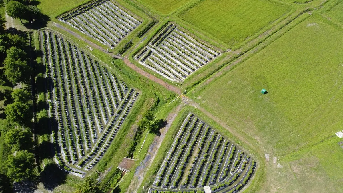 錯過等明年!「2025宜蘭風箏嘉年華」快閃2日登場,搭免費接駁車輕鬆玩 錯過等明年!「2025宜蘭風箏嘉年華」快閃2日登場,搭免費接駁車輕鬆玩