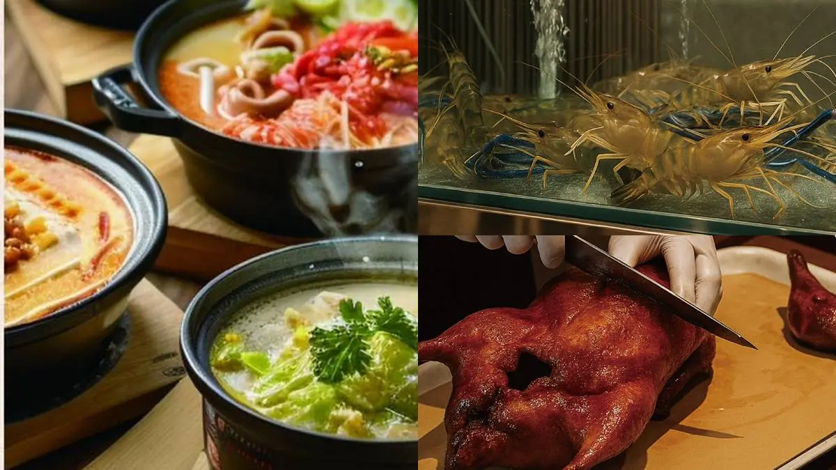 對中「２碼」海鮮吃到飽！23家超狂鍋物優惠：湊湊火鍋送肉品、巨大鮑魚無限嗑
