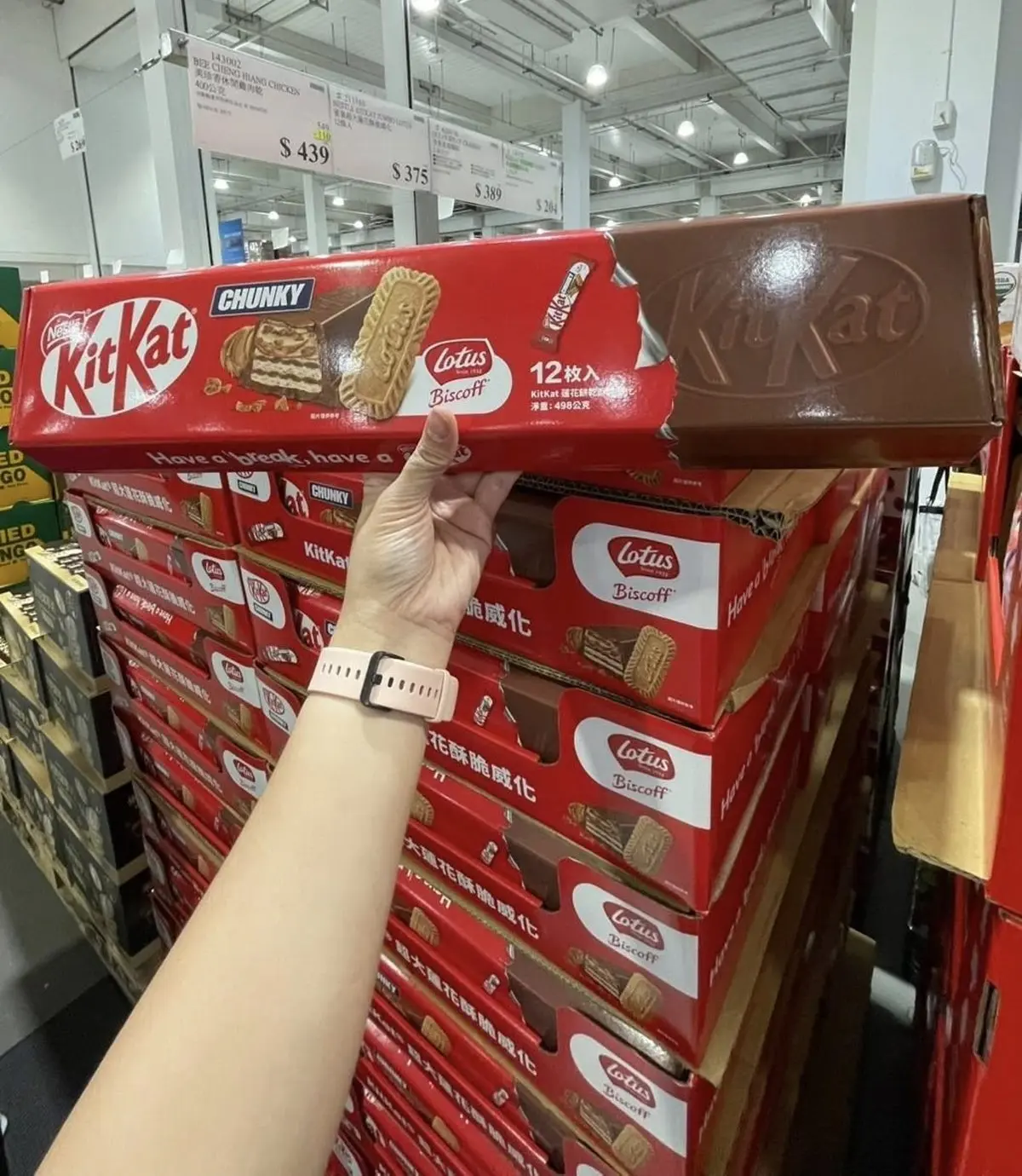 好市多獨家開賣！「巨無霸KitKat」全新聯名層次豐富，網友：冷凍後爽感爆棚