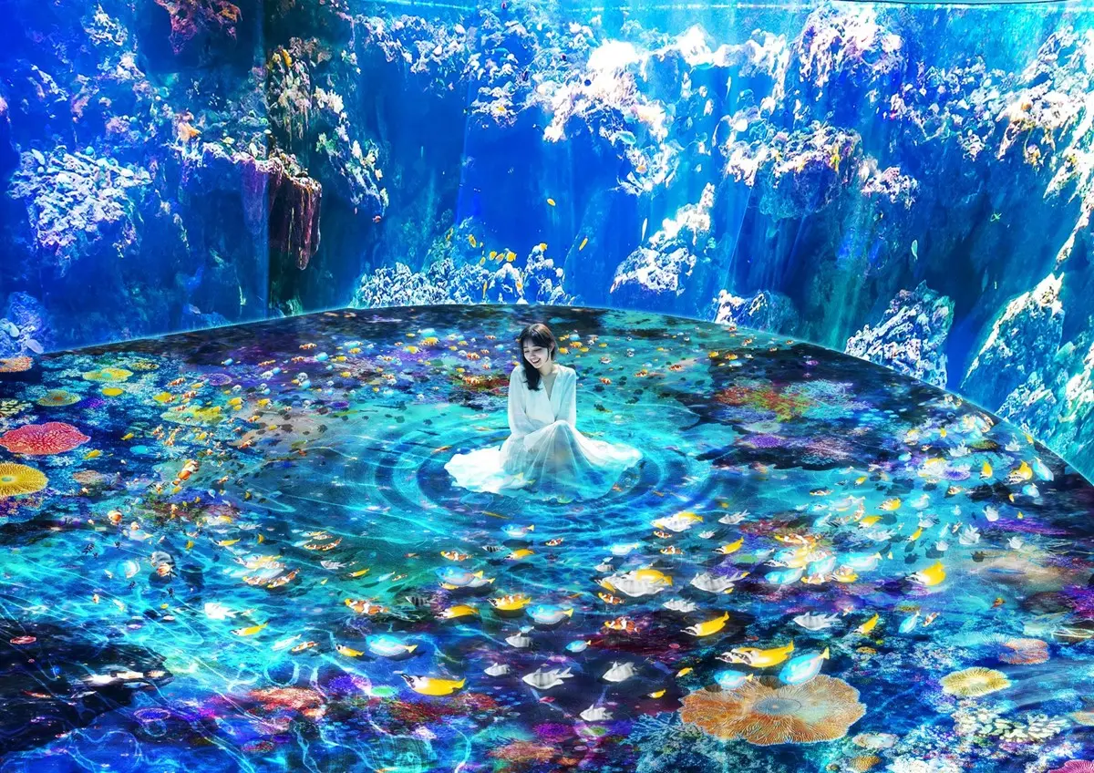 暑假星光票８折！Xpark史上最大「沉浸式體驗展」登場，絕美光影仙境超好拍