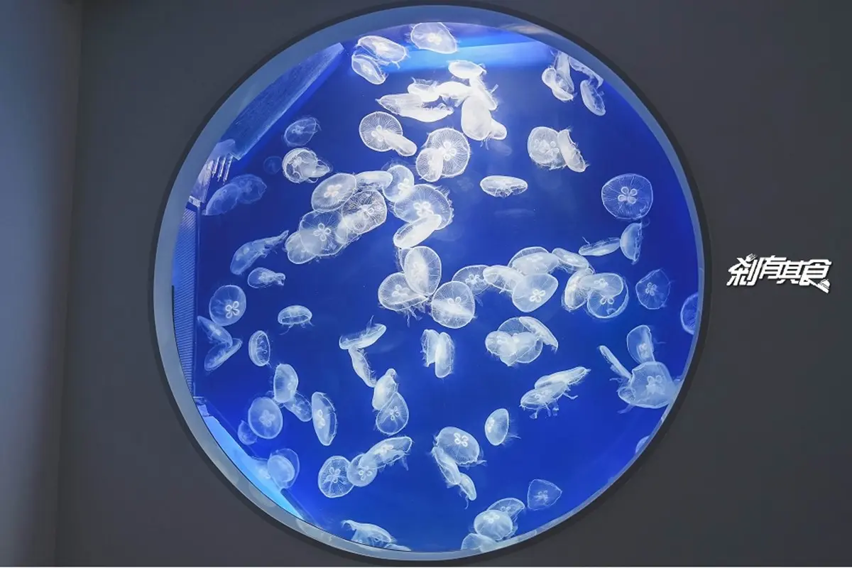 2026 Xpark 桃園水族館全攻略!最新活動、門票優惠、必看亮點、美食推薦 2026 Xpark 桃園水族館全攻略!最新活動、門票優惠、必看亮點、美食推薦