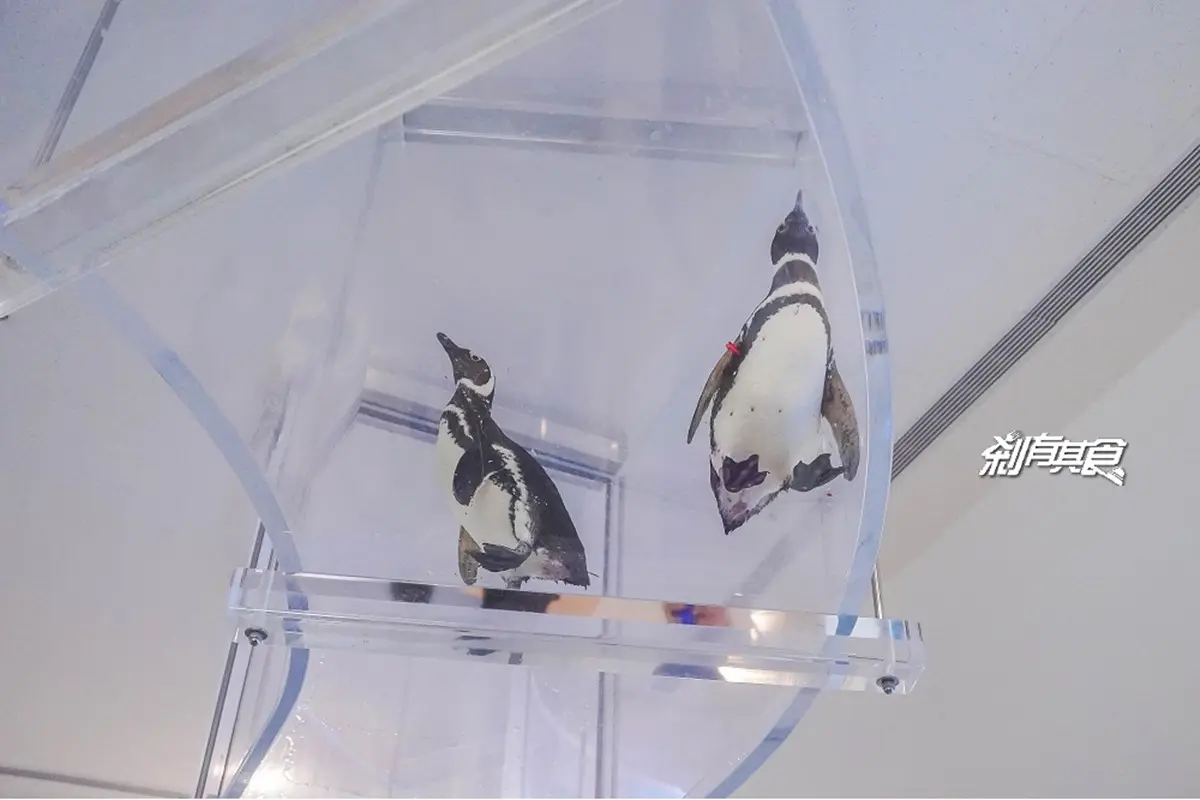 2026 Xpark 桃園水族館全攻略!最新活動、門票優惠、必看亮點、美食推薦 2026 Xpark 桃園水族館全攻略!最新活動、門票優惠、必看亮點、美食推薦