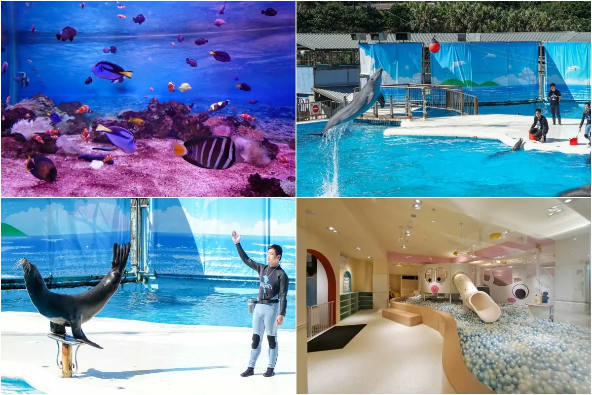 全台水族館推薦：野柳海洋世界