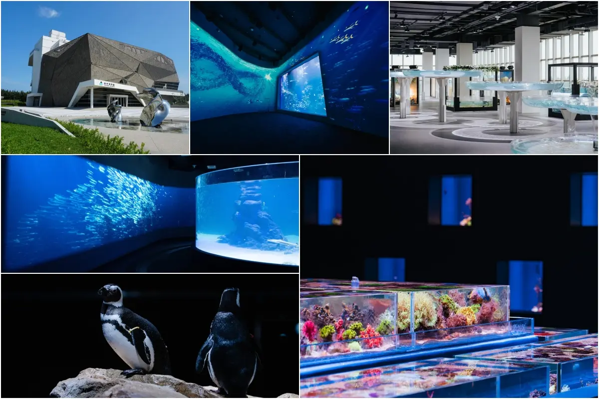 全台水族館推薦：台中海洋館