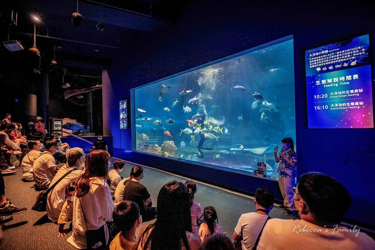 花蓮遠雄海洋公園這樣玩！遊樂設施、海豚表演、夜宿體驗，門票/住宿全攻略