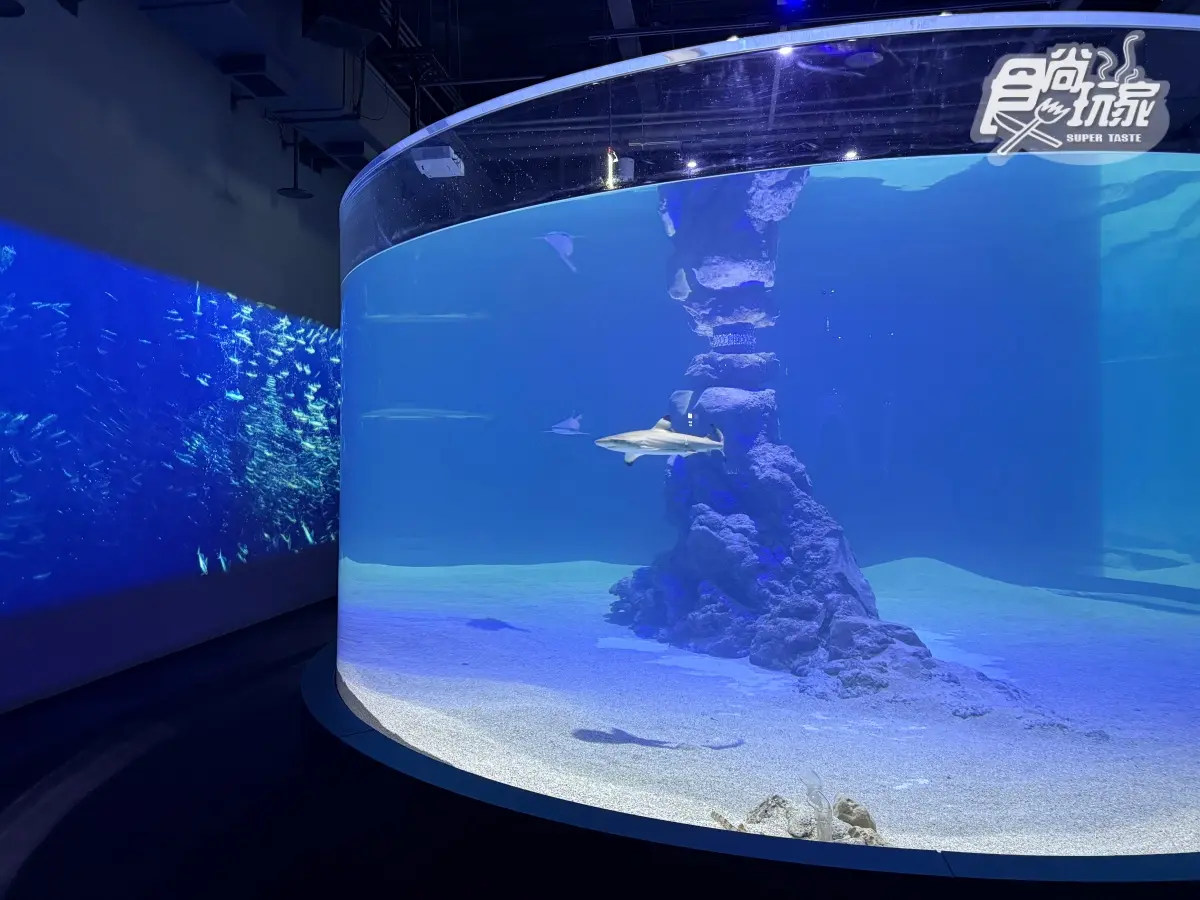 全台最美「台中海洋館」開幕直擊!全館8大展區開箱,票價、參觀資訊一次看 全台最美「台中海洋館」開幕直擊!全館8大展區開箱,票價、參觀資訊一次看