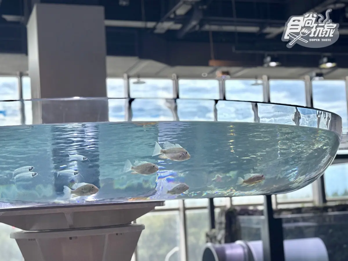 全台最美「台中海洋館」開幕直擊!全館8大展區開箱,票價、參觀資訊一次看 全台最美「台中海洋館」開幕直擊!全館8大展區開箱,票價、參觀資訊一次看