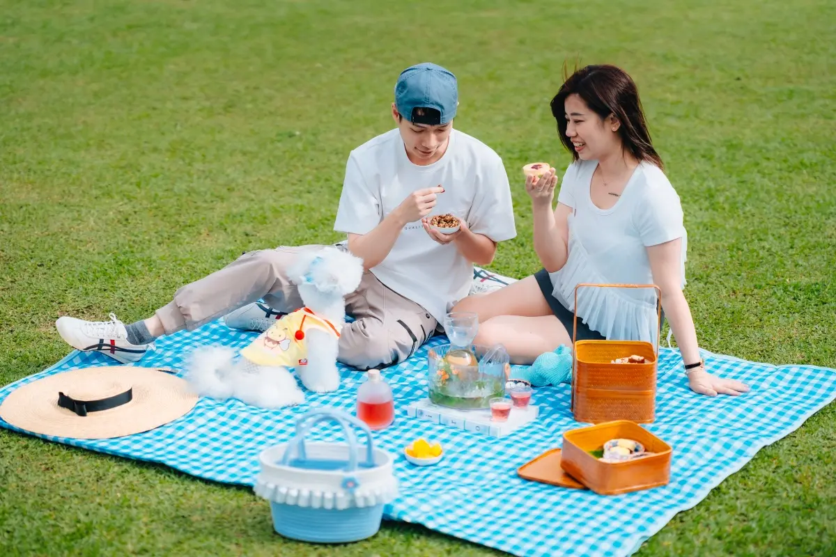 現省700元！陽明山懶人露營推「療癒溫泉下午茶」，爽泡牛奶美人湯配山林美景