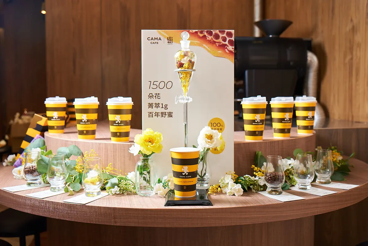 韓國超人氣「芥末熊」登台！「CAFE!N × WASABI BEAR」聯名餐點、周邊一次看