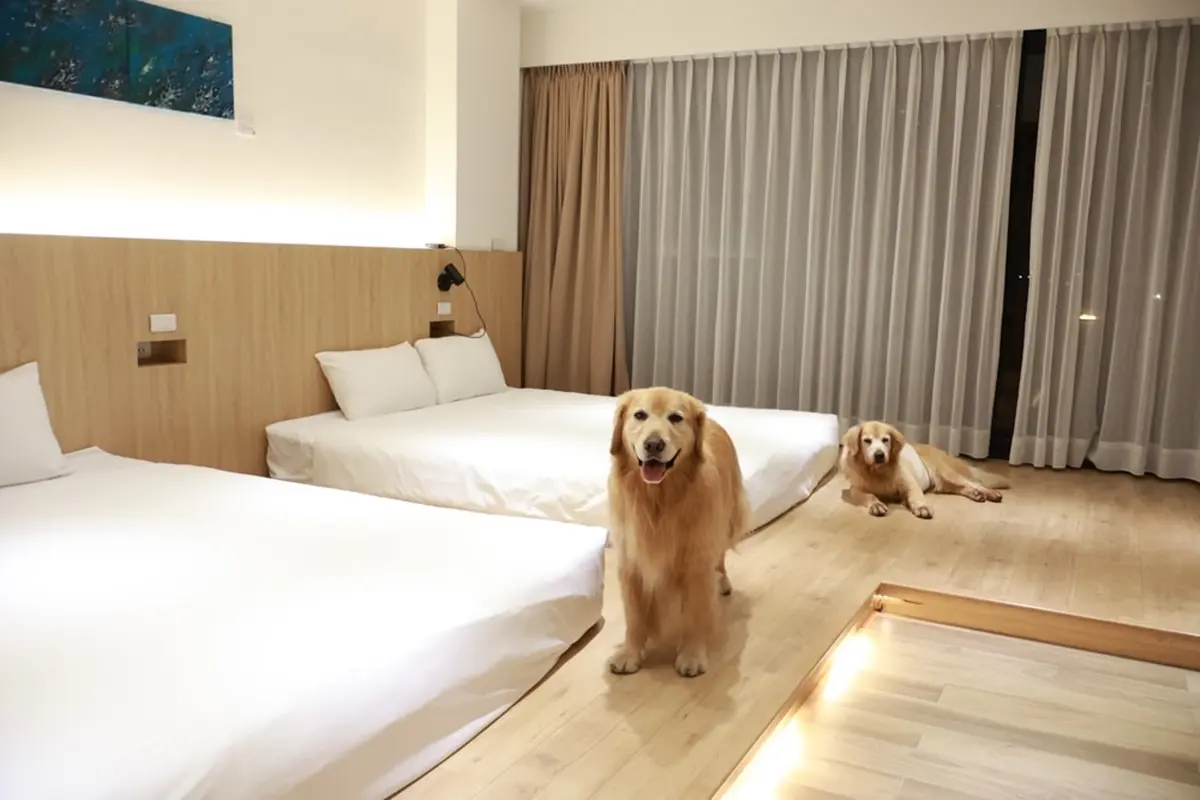 住進老宅裡旅行！台南高評價包棟民宿15選，親子寵物友善一次推薦