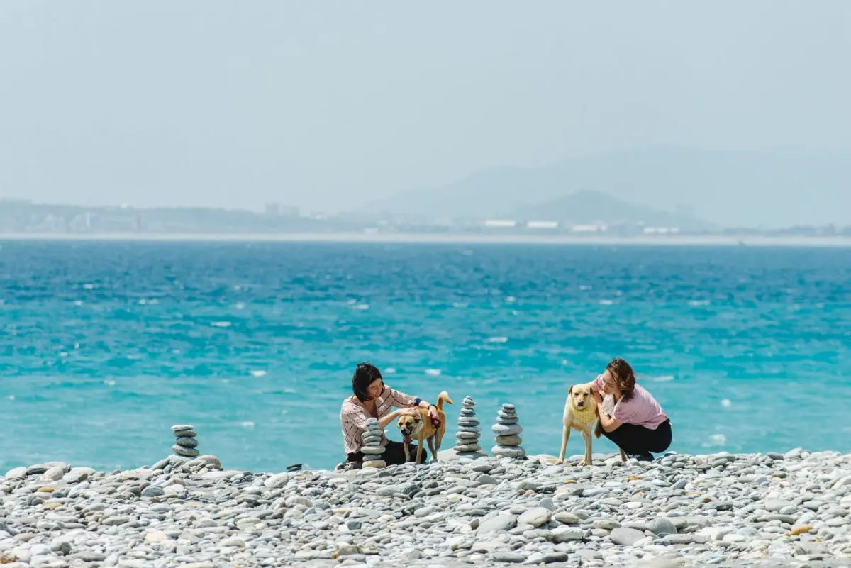 秋天最Chill的旅行!入住「山海第一排」草地野餐、海邊做瑜伽,快投票抽免費住 秋天最Chill的旅行!入住「山海第一排」草地野餐、海邊做瑜伽,快投票抽免費住