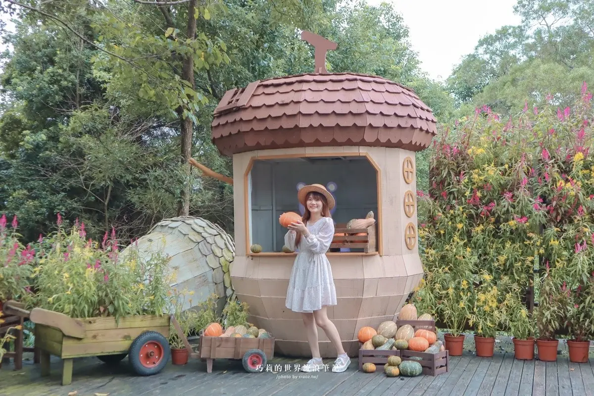 連假免費開放參觀!新竹「薰衣草森林」9月底歇業,美拍祕密花園、小熊步道 連假免費開放參觀!新竹「薰衣草森林」9月底歇業,美拍祕密花園、小熊步道