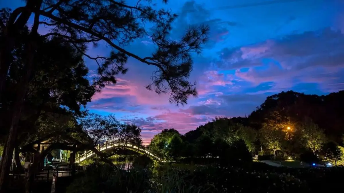 2025慈湖水舞秀中秋登場！日夜雙版本華麗展出，還有復古市集、免費接駁車
