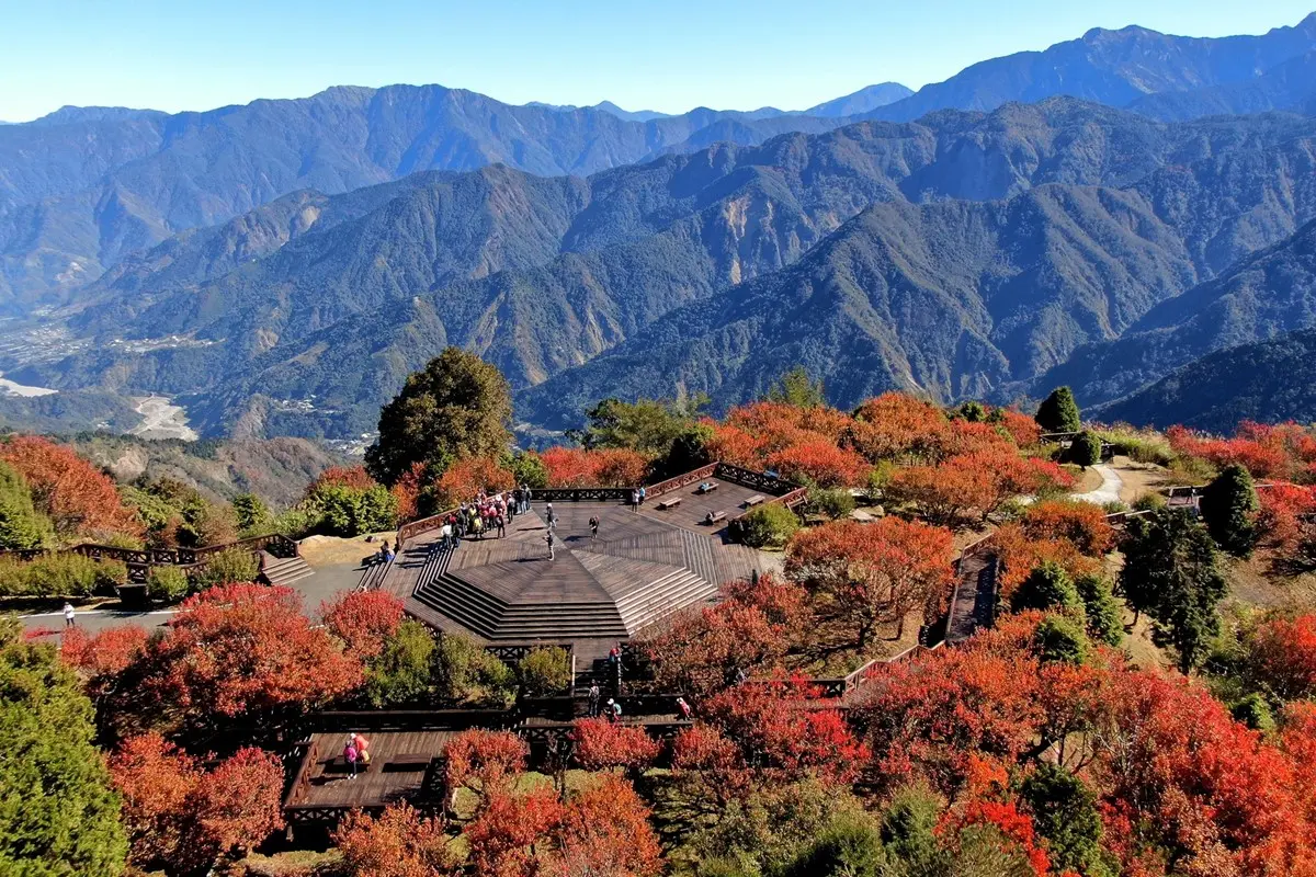 阿里山賞楓列車「這天」開搶!搭百年蒸氣檜木火車看雲海, 遊程內容一次看 阿里山賞楓列車「這天」開搶!搭百年蒸氣檜木火車看雲海, 遊程內容一次看