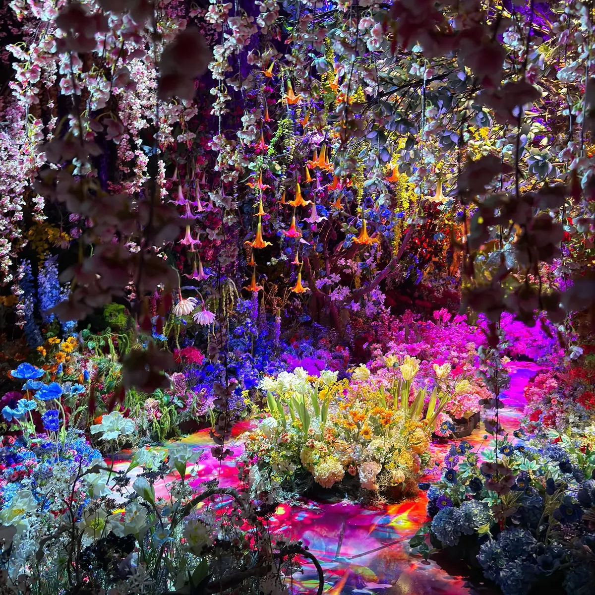 海外最大規模「蜷川實花展」在台灣！睽違10年登台，８大夢幻光影展區搶先看